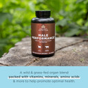 Ancient Nutrition Organ Supplements For Men, Grass-Fed And Wild Organ Complex Capsules, Liver, Prostate, Pancreas Supports Male Performance, Healthy Aging, 180 Ct