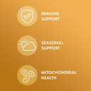 Dr. Mercola Organic Bee Propolis, 30 Servings (30 Capsules), Dietary Supplement, Supports Respiratory Health, Non-Gmo, Certified Usda Organic