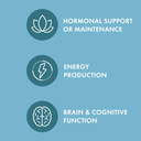 Bark & Whiskers Male Glandular Support, 4 Oz. (113 G), 75 Scoops, Supports Healthy Hormone And Organ Function, Veterinarian Formulated, Non-Gmo, Dr. Mercola