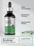 Horbã£Â¤Ach Scullcap Herb Liquid Extract | 2 Fl Oz Tincture | Super Concentrated | Alcohol Free, Vegetarian, Non-Gmo, Gluten Free Skullcap Supplement