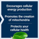 Life Extension Mitochondrial Energy Optimizer With Pqq  For Heart & Brain Health, Energy Management And Anti-Aging - Gluten-Free, Non-Gmo, Vegetarian  120 Capsules
