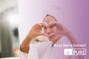 Pure Original Ingredients Acai Berry (730 Capsules) No Magnesium Or Rice Fillers, Always Pure, Lab Verified