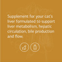 Standard Process Feline Hepatic Support - Cat Health Supplement For Liver Support - Hepatic Circulation & Liver Metabolism Aid - Tablet Supplement To Aid Hepatic Immune Function - 90 Tablets