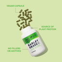 Vimergy Barley Grass Capsules, 30 Servings  Source Of Antioxidant - Contains Iron, Vitamin C, & Vitamin E  Non-Gmo, Gluten-Free, Soy-Free, Vegan & Paleo  Daily Greens Booster (240 Ct)