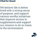 Vital Nutrients Once Daily Multivitamin | Vegan Multi For Women & Men | Allergen-Free | 19 Essential Vitamins + Antioxidants For Eye And Heart Health | Gluten, Dairy & Soy-Free | 30 Capsules