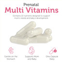 Zahler - Total One Prenatal Vitamins For Women (120 Count) Daily Multi Vitamin Prenatals With Folic Acid, Iron, Zinc & 19 Other Essential Vitamins & Minerals - Kosher Pre Natal Multivitamin Capsules