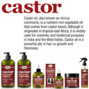 Difeel Castor Pro-Growth Conditioner 33.8 Oz