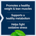 Life Extension 7-Keto Dhea Metabolite  Crank Up Your Fat-Burning Furnace  Non-Gmo  Gluten-Free  100 Mg  60 Vegetarian Capsules