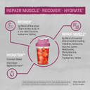 Sunwarrior Amino Acids Amino Energy Powder Essential Amino Acids Eaa | Muscle Repair Hydration & Recovery | Promote Wellness Strength & Endurance | Dragon Fruit Flavor | 30 Servings | Active Aminos