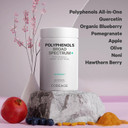 Codeage Polyphenols Supplement Antioxidants - Organic Green Tea, Catechins, Egcg, Quercetin, Pomegranate, Olive Fruit, Turmeric, Resveratrol - Plant Polyphenol Nutrients, Vegan, Non-Gmo - 120 Capsules
