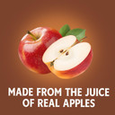 Heinz Apple Cidar Vinegar (1Gal Jug)