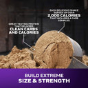 Muscletech High-Protein Mass Gainer (Vanilla Milkshake, 6Lb) - Mass Tech Extreme 2000 Mass Gainer Protein Powder Supplement - Weight Gainer For Increase Muscle, Enhanced Recovery & Strength