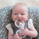 Dr. Brown'S Flexees Gray Sloth, Soft 100% Silicone Baby Teether, Bpa Free, 3M+