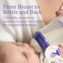 Lansinoh Anti-Colic Baby Bottles For Breastfeeding Babies, 8 Ounces, 6 Count, Includes 6 Medium Flow Nipples, Size M