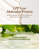 Kundal Honey&Macadamia Hydro-Intensive Protein Premium Nature Hair Treatment(Blackberry Bay) 500Ml