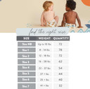 The Honest Company Clean Conscious Diapers | Plant-Based, Sustainable | All The Letters + It'S A Pawty | Club Box, Size 6 (35+ Lbs), 40 Count