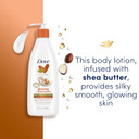 Dove Body Love Pampering Body Lotion Shea Butter Pack Of 3 For Silky, Smooth Skin Softens & Smoothes Dry Skin 13.5Oz