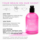 Pacifica Beauty Island Vanilla Spray Perfume, Fragrances, Euphoria, Sugar, Vanilla, Sandalwood, Lily Of The Valley, Perfume Spray, Clean Perfume, Parfum, Eau De Toilette, Vegan, 2 Fl Oz (1 Count)