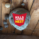 Raid Wasp And Hornet Killer Spray, Kills The Entire Nest, Kills Paper Wasps, Yellow Jackets, Mud Daubers And More, 14 Oz