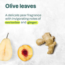 Attitude Bubble Bath, Ewg Verified, Plant And Mineral-Based, Dermatologically Tested, Vegan Body Care Products, Olive Leaves, 16 Fl Oz Attitude Bubble Bath, Ewg Verified, Plant And Mineral-Based, Dermatologically Tested, Vegan Body Care Products, Olive Leaves, 16 Fl Oz