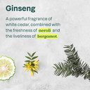 Attitude 2In1 Shampoo And Body Wash, Ewg Verified, Plant And Mineral-Based, Vegan Personal Care Products, Ginseng And Grapeseed Oil, 16 Fl Oz (Pack Of 6)