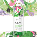 Olay Fearless Moisturizing Body Wash For Women With Smooth Aloe And Notes Of Chamomile Artist Series 20 Fl Oz (Pack Of 4)