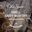 Old Spice Body Wash For Men, 3X Defense, 24/7 Shower Fresh With Long Lasting Lather, Krakengard Scent, 33.4 Fl Oz (Pack Of 4)