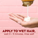 Ogx Anti-Hair Fall + Coconut Caffeine Strengthening Conditioner With Caffeine, Coconut Oil & Coffee Extract, 13 Fl Oz