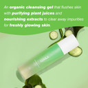 Coola Organic Glowing Greens Facial Cleanser, Dermatologist Tested Skin Barrier Protection With Aloe Vera Juice, Vegan And Gluten Free