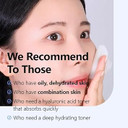 Isntree Ultra-Low Molecular Hyaluronic Acid Toner 300Ml, 10.14 Fl.Oz | Quick Absorbing | Deep Hydration & Skin Smoothing | Korean Skincare | Vegan Skincare
