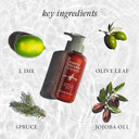 Made In Italy, All Natural Cruelty Free Hair Care For Women & Men, Hair & Scalp Rinse Daily Conditioner, Organic Olive Oil, Jojoba Oil, Spruce Tree Extract, Pump Not Included, 251Ml/8.5Floz, Everyday