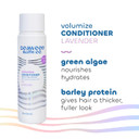 Seaweed Bath Co. Volumize Conditioner, Lavender Scent, 12 Ounce, Sustainably Harvested Seaweed, Green Algae, Barley Protein, For Normal To Fine Hair