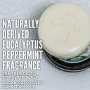 Duke Cannon Mens Shampoo Puck - Field Mint | Super-Concentrated Solid Bar, Premium Formulated, Big Lather, Eucalyptus Peppermint Fragrance, Argan Oil & Oat Kernel Protein, Sulfate-Free, 4.5 Oz