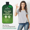 First Botany, Tea Tree Oil Shampoo 16 Fl Oz - Anti Dandruff Shampoo Natural Oil Cleanser For Dry Itchy & Flaky Scalp - Sulfate Free Paraben Free Cleanser - Prevents Head Lice & Thinning