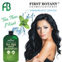 First Botany, Tea Tree Oil Shampoo 16 Fl Oz - Anti Dandruff Shampoo Natural Oil Cleanser For Dry Itchy & Flaky Scalp - Sulfate Free Paraben Free Cleanser - Prevents Head Lice & Thinning