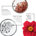 Framesi Morphosis Restructure Shampoo 8.4 Fl Oz