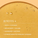 Innersense Organic Beauty - Natural Pure Harmony Hairbath Shampoo | Non-Toxic, Cruelty-Free, Clean Haircare (10Oz) Innersense Organic Beauty - Natural Pure Harmony Hairbath Shampoo | Non-Toxic, Cruelty-Free, Clean Haircare (10Oz)