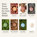 The Earthling Co. Shampoo Bar - Promote Hair Growth, Strengthen & Volumize All Hair Types - Paraben & Sulfate Free Formula With Natural, Vegan Ingredients For Dry Hair (Vanilla Coconut, 3 Oz)