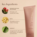 Vegamour Gro Revitalizing Shampoo, Support Thicker, Fuller Looking Hair, Shampoo Formulated Without Sulfates For Thinning Hair With Vegan Keratin, Natural Citrus Scent