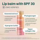 Attitude Oceanly Tinted Lip Balm With Spf 30, Ewg Verified, Plastic-Free, Broad Spectrum Uva/Uvb Protection With Zinc Oxide, Vegan, Unscented, Peachy Shell, 0.3 Ounce