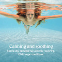 Malibu C Swimmers Wellness Conditioner - Moisturizing Conditioner For Swimmers - Strengthening Proteins Help Prevent Brittle, Dry Hair From Swimming33.8 Ounce (Pack Of 1)