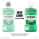 Listerine Freshburst Antiseptic Mouthwash For Bad Breath, Kills 99% Of Germs That Cause Bad Breath & Fight Plaque & Gingivitis, Ada Accepted Mouthwash, Spearmint, 500 Ml