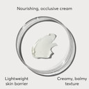 Naturium Intense Overnight Sleeping Cream Jumbo, Hydrating & Anti-Aging Face Moisturizer, 3 Oz Naturium Intense Overnight Sleeping Cream Jumbo, Hydrating & Anti-Aging Face Moisturizer, 3 Oz