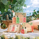 Md24 Gifting Fragrance Layering Set