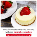 David'S Cookies New York Mini Cheesecakes - Fresh Baked, Soft, And Delicious Gift Idea - Great For Sharing At Parties, Events, Or With Family And Friends (6Pcs)