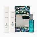 L'Anza Healing Strength Holiday Gift Set Trio, White Tea Shampoo, Manuka Honey Conditioner & Neem Plant Silk Hair Serum In Gift Box, Luxury Hair Care For Dry, Damaged Hair (10.1/8.5/3.4 Fl Oz)