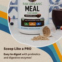 Garden Of Life Vegan Protein Powder - Raw Organic Meal Replacement Shakes - Chocolate - Pea Protein, Greens And Probiotics For Women And Men, Plant Based Dairy Free All In One Shake, 14 Servings