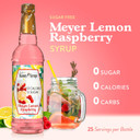Jordan'S Skinny Mixes Sugar Free Syrup, Meyers Lemon Raspberry Flavor, Fruit Flavored Water Enhancer, Drink Mix For Ice Tea, Lemonade & More, Zero Calorie Flavoring, Keto Friendly, 25.4 Fl Oz, 1 Pack
