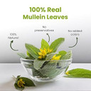 Blue Tea - Mullein Tea - 30 Tea Bags (Plant Based) | Super Anti-Oxidant | Herbal Tea - Caffeine Free - Flower Based - Vegan - Non-Bitter - Non-Gmo - Natural Ingredients | Tin Pack