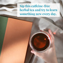 The Republic Of Tea Be Well Teas No. 16, Get Smart Herbal Tea For Memory/Focus, Refill Pack Of 250 Tea Bags